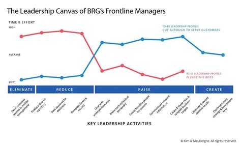 Blue Ocean Leadership Example