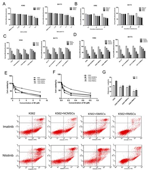 Rmscs Protect K562 And Bv173 Cells From Tkis Treatment A Download Scientific Diagram