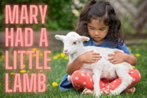 Mary Had A Little Lamb – Lyrics, History, Lesson Plans & More – Nursery ...