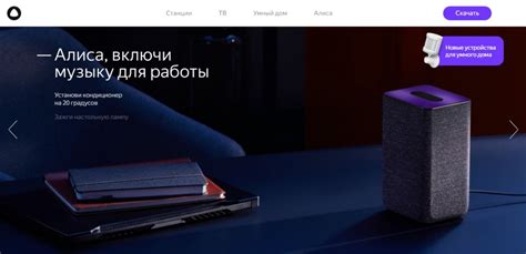 Обзор Алиса: Что это такое? Описание, отзывы, аналоги, инструкции ...