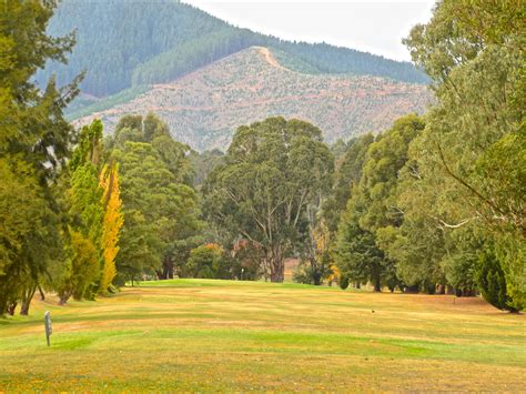 Myrtleford Golf Club - Myrtleford