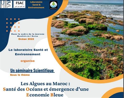 Conférence Les algues au Maroc santé des océans et émergence dune