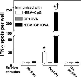 Ifn Elispot Assay Of Immune Cd T Cell Recall Response To A