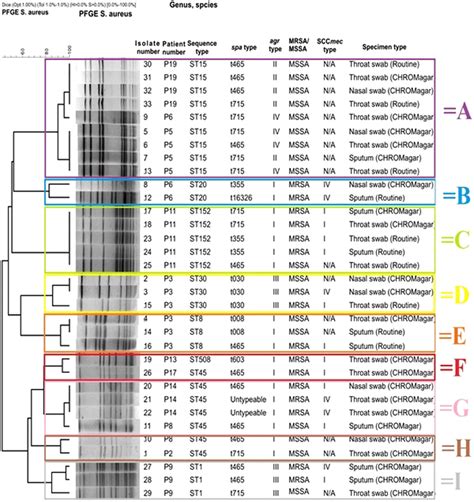 Pulsed Field Gel Electrophoresis Pfge Dendrogram Of The S Aureus