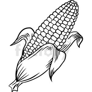 104 Corn clipart - Graphics Factory