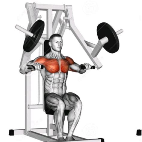 Incline Hammer Strength Press By Litabel L Exercise How To Skimble