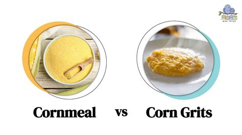 Cornmeal Vs Corn Grits 3 Key Differences And A Nutritional Comparison