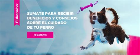 Mi Eukanuba
