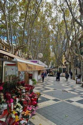 Palma Theme Photo Majorca Spain Balearic Islands Palma De Mallorca