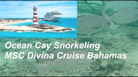 Ocean Cay Snorkeling Bahamas MSC Divina Cruise Lighthouse Bay