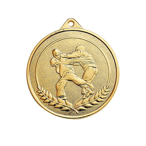 Achetez La R Compense Parfaite M Daille Judo Mm Or Argent Bronze