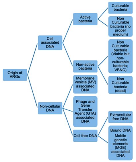 Antibiotics Free Full Text Assessing The Impact Of Heat Treatment