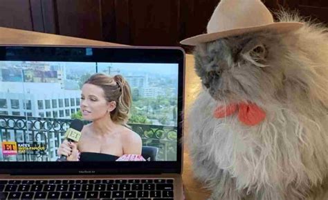 Kate Beckinsale Es Admirada Por Su Gato En La Pantalla Chica Labotana