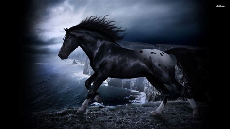 Black and White Horse Wallpapers - Top Free Black and White Horse ...