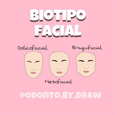 Biotipo facial tipos de cara Odontología Anatomía dental Odontologo