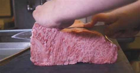 Video Why Wagyu Beef Is So Expensive From Business Insider Rocking