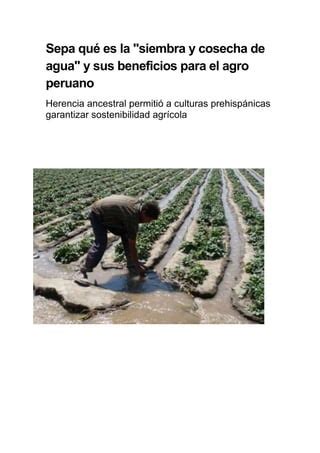 Siembra Y Cosecha En La Agricultura Pdf