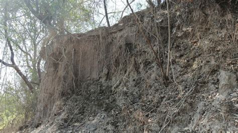 Alcalde Retoma Parque Arqueológico Ambiental Vallarta