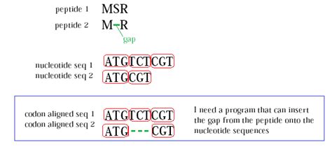 Codon Alignment Via Python