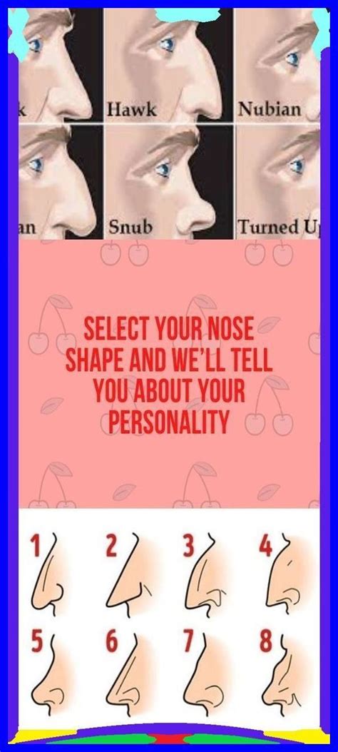 THE SHAPE OF YOUR NOSE | Nose shapes, Nose, Shape of you