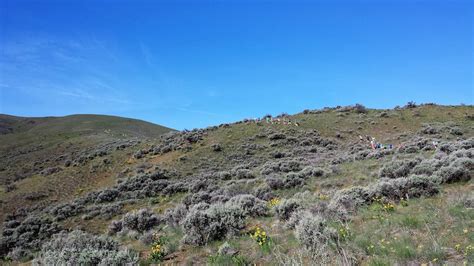 Race Report: A Flatlander’s Guide to Yakima Skyline Rim 50K/25K - April ...