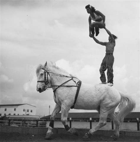 Loomis Dean Photography Vintage Editorial Stock Photos RINGLING CIRCUS ...