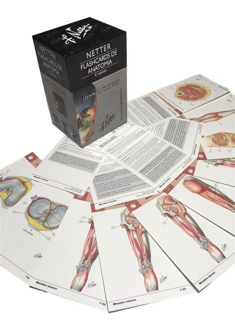 Netter Flashcards De Anatomía 5ed nuevo original Mercado Libre