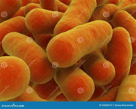 Bacteria Strain Stock Image Image Of Laboratory Closeup