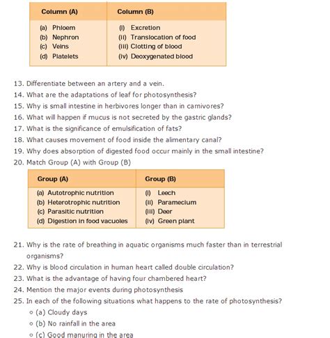 Important Questions For Class 10 Science Chapter 6 Life Processes