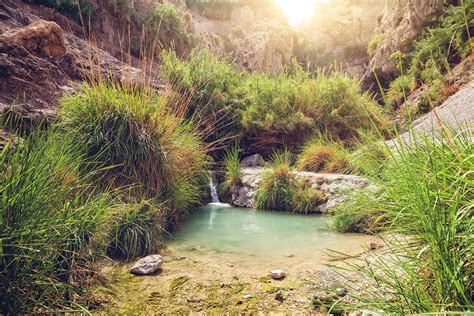 Streams In The Desert Thomas Nelson Bibles Lettie Cowman