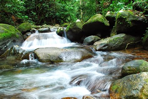 BERBAGI ILMU: SUNGAI