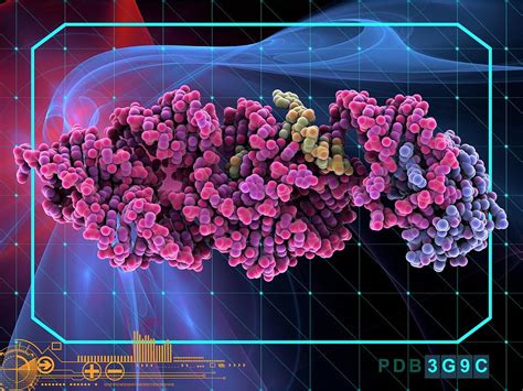 Anthrax Bacillus Glms Ribozyme By Laguna Design Science Photo Library