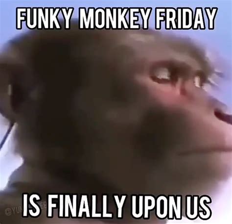 Its Funky Monkey Friday boys! - Off Topic - Arcane Odyssey