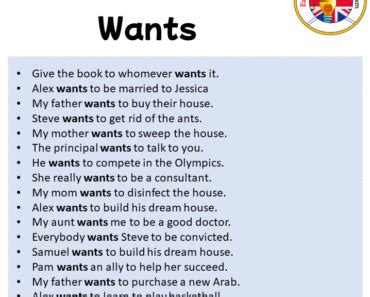 Sentences For Wants Archives - English Grammar Here