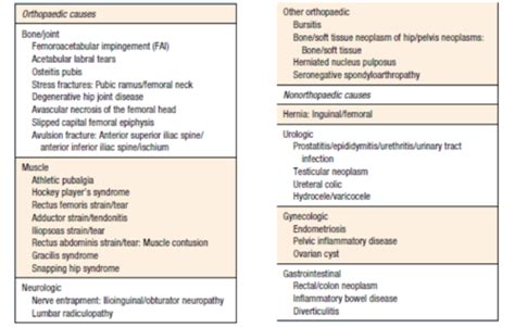 LE Soft Tissue Injuries Flashcards Quizlet