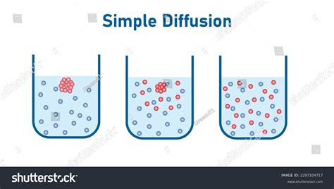 Illustration Of Simple Diffusion