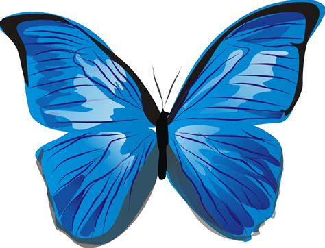 Blue Butterfly Png Image Transparent HQ PNG Download | FreePNGimg