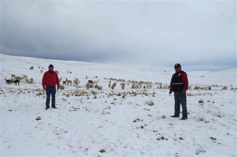 Temperatura Nocturna Descender A Grados Bajo Cero En La Sierra