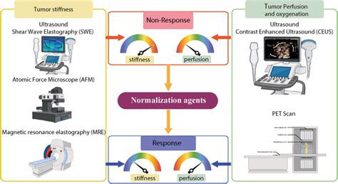 Modulating Cancer Mechanopathology To Restore Vascular Function And