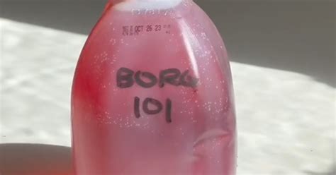 What Is A Borg Gen Z Is Showing Their Go To Drink On Tiktok