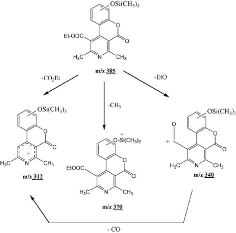 Proposed Fragmentation Pathways Of Silylated Compounds Vii Ix Download Scientific Diagram