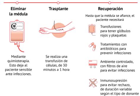 Trasplante De Médula ósea En La Clínica Universidad De Navarra