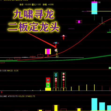 通达信翔博软件