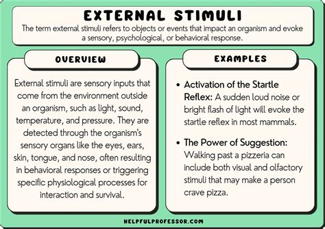 External Stimuli Examples And Definition