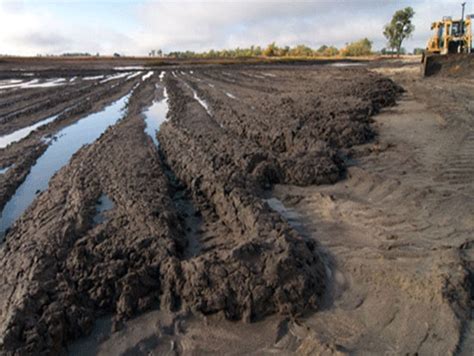 sewage sludge treatment plant price sludge carbonization machine