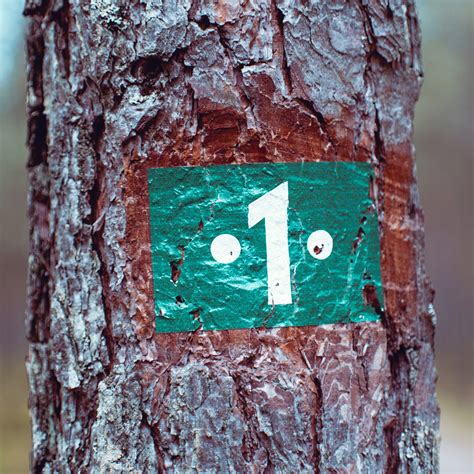 designing   fieldwork experience starting  rgs