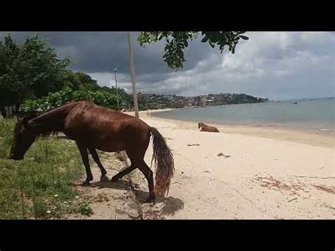 Import Ncia De Nao Jogar Lixo Na Praia Sububana Salvador Bahia Brasil