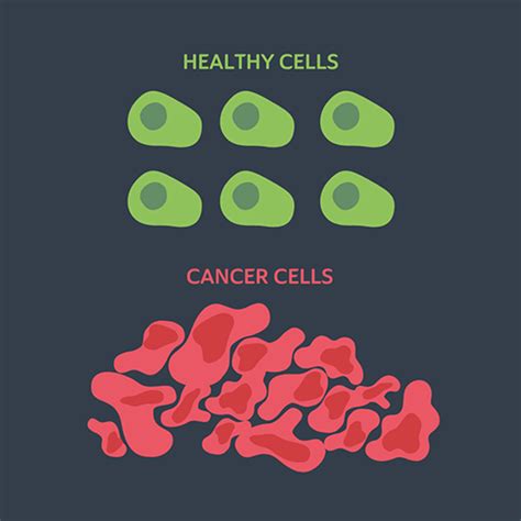 Cancer Cells Normal Cells: How Are They Different?, 46% OFF