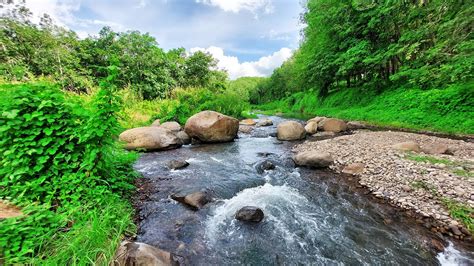 Creek Sounds River Nature Sounds Babbling Brook Beautiful Nature