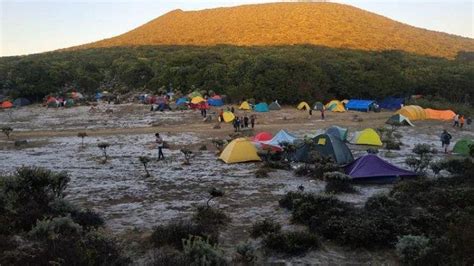 Pendakian Gunung Gede Pangrango Dibuka Kembali Pendaki Wajib Booking